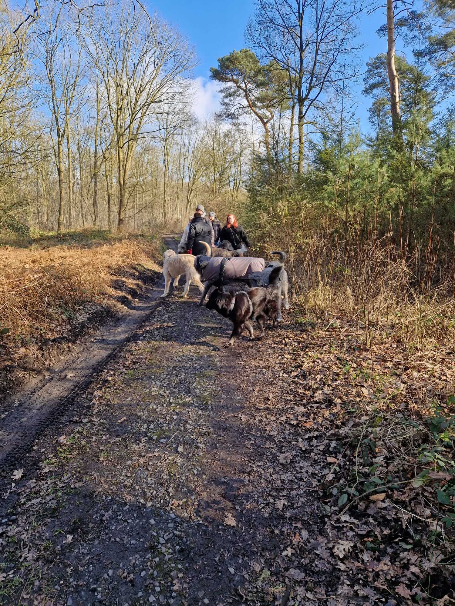 IMG-20250216-WA0044