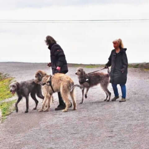 IMG-20250216-WA0167